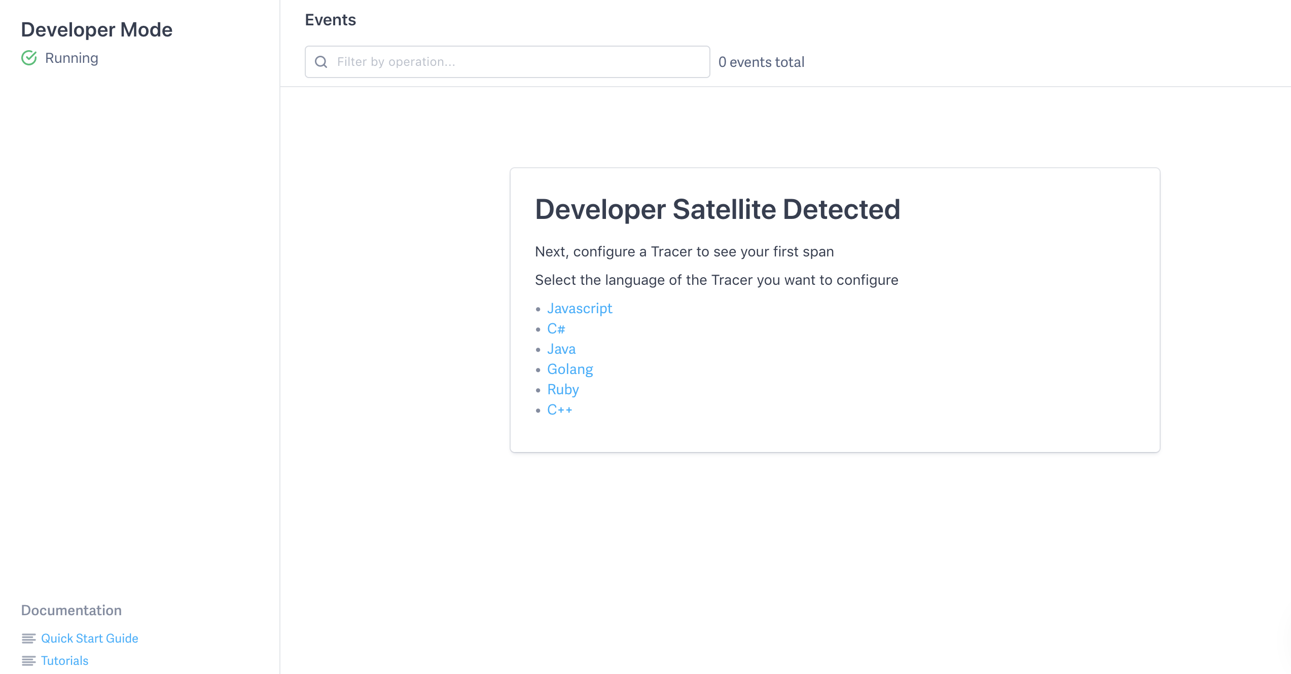 Developer Mode page shows Developer Satellite Detected.