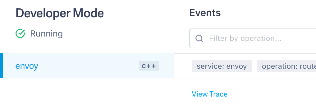 Green check appears below the Developer Mode header.