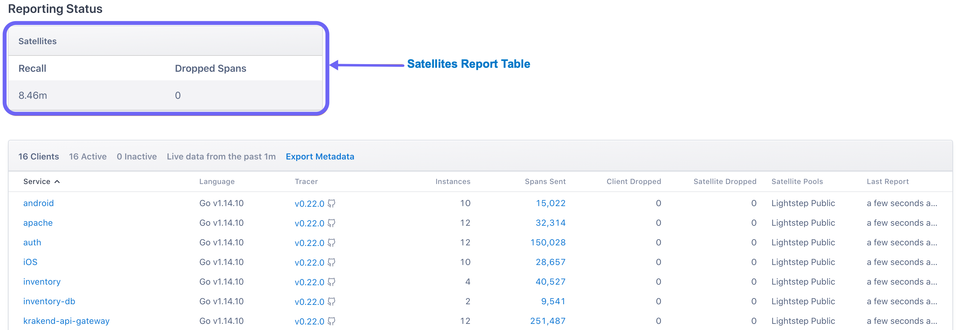 Arrow and text identify the Satellites Report Table.