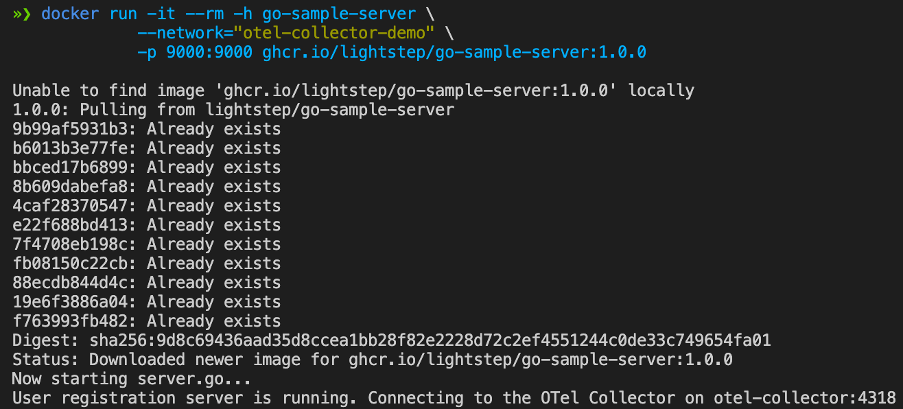 Terminal output displays several lines, including "Now starting server.go" and "User registration server is running."