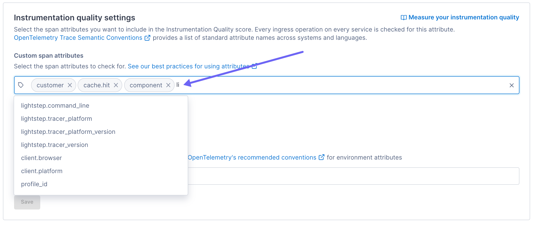 Arrow points to Custom span attributes field.